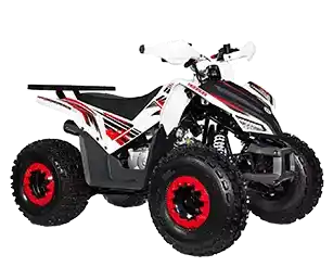 SHARMAX ATV CROSS 180 CC Cls0m WP